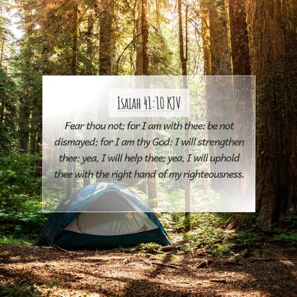 Gallery Image - Forest Camping Tent